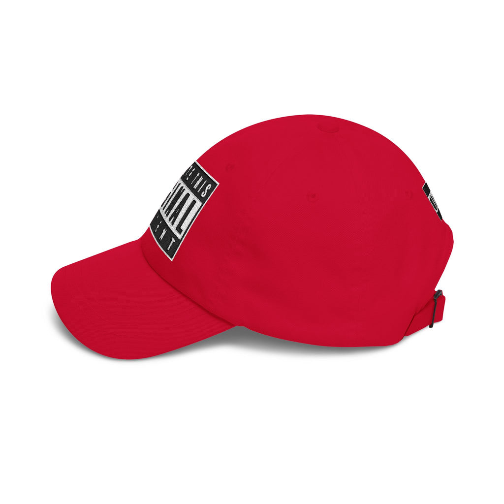 We Wrote This LLC Manolito Dad Hat
